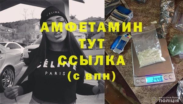 spice Богданович