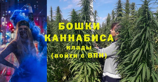2c-b Богородск